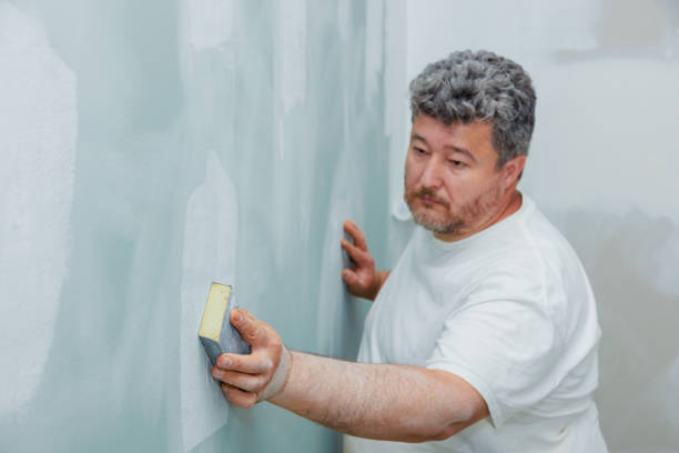Reliable Fort Meade, MD Mold Removal Solutions